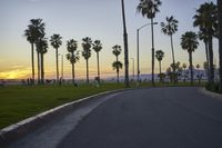 Scenic Coastal Road in Los Angeles, California, USA at Dawn