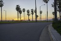Scenic Coastal Road in Los Angeles, California, USA at Dawn