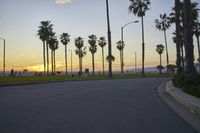 Scenic Coastal Road in Los Angeles, California, USA at Dawn
