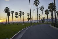 Scenic Coastal Road in Los Angeles, California, USA at Dawn