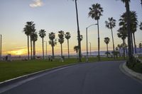 Scenic Coastal Road in Los Angeles, California, USA at Dawn