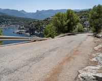 a winding asphalt road with a view of a lake and mountains in the distance in front of trees