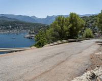 a winding asphalt road with a view of a lake and mountains in the distance in front of trees