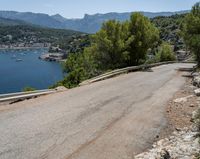 a winding asphalt road with a view of a lake and mountains in the distance in front of trees