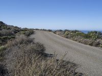 Scenic Coastal Road in Montaña de Oro State Park, California, USA