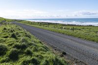 a road in the middle of nowhere by the ocean with sheep grazing beside it and a blue sky above