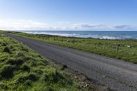 a road in the middle of nowhere by the ocean with sheep grazing beside it and a blue sky above