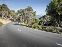 a empty road surrounded by pine trees and mountain range in the background with clear blue skies