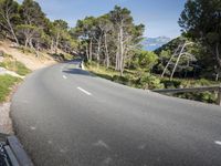 a empty road surrounded by pine trees and mountain range in the background with clear blue skies
