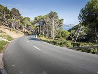 a empty road surrounded by pine trees and mountain range in the background with clear blue skies