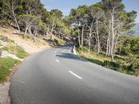 a empty road surrounded by pine trees and mountain range in the background with clear blue skies