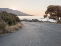 the sun is setting behind some trees and an ocean line road with a man sitting on a motorcycle