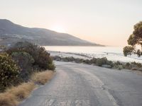 the sun is setting behind some trees and an ocean line road with a man sitting on a motorcycle