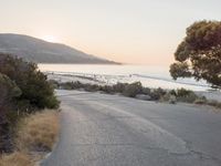 the sun is setting behind some trees and an ocean line road with a man sitting on a motorcycle
