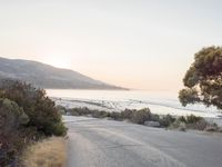 the sun is setting behind some trees and an ocean line road with a man sitting on a motorcycle