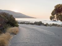 the sun is setting behind some trees and an ocean line road with a man sitting on a motorcycle
