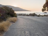 the sun is setting behind some trees and an ocean line road with a man sitting on a motorcycle