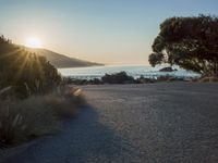 a sunset view from behind the road with a person riding a bike along the shore