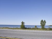 Scenic Coastal Road Trip in the USA