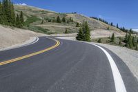 this winding road is surrounded by pine and hill in the mountains area in montanas