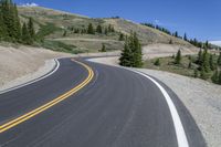 this winding road is surrounded by pine and hill in the mountains area in montanas