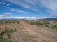 Scenic Colorado Landscape: The Dirt Road Experience