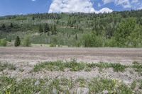 a dirt road and a hill with trees around it in the background, as if from a distance