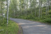 Scenic Road in Colorado Landscape