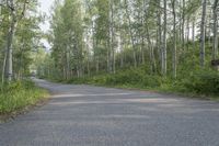 Scenic Road in Colorado Landscape