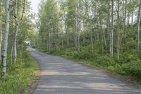 Scenic Road in Colorado Landscape