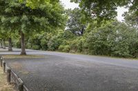 a paved road with trees and bushes on either side of it and two people walking in the distance