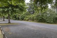 a paved road with trees and bushes on either side of it and two people walking in the distance