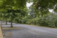 a paved road with trees and bushes on either side of it and two people walking in the distance