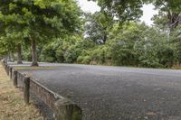 a paved road with trees and bushes on either side of it and two people walking in the distance