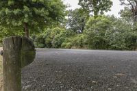 a paved road with trees and bushes on either side of it and two people walking in the distance