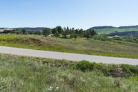 a country road with lush green meadows in the background and homes on either side of it