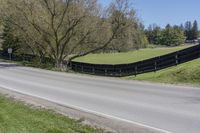 the grass is covering the road in the country area near a fence with a cow