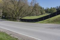 the grass is covering the road in the country area near a fence with a cow