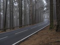 a curved highway is pictured next to some pine trees in the middle of a foggy forest