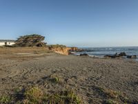 a grassy field by the shore and a cliff with rocks in the ocean in the background