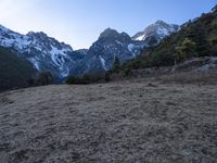 Scenic Dawn Landscape in Lijiang, Yunnan, China