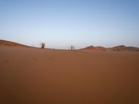 Scenic desert landscape with sand dunes under clear sky in Sahara, Morocco