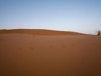 Scenic desert landscape with sand dunes under clear sky in Sahara, Morocco