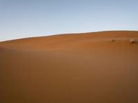 Scenic desert landscape with sand dunes under clear sky in Sahara, Morocco