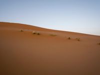 Scenic desert landscape with sand dunes under clear sky in Sahara, Morocco