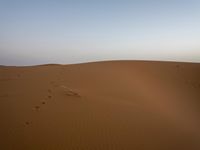 Scenic desert landscape with sand dunes under clear sky in Sahara, Morocco