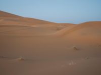 Scenic desert landscape with sand dunes under clear sky in Sahara, Morocco