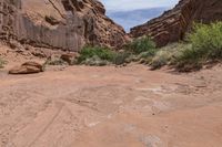 a very scenic area with rocks and shrubs on the ground and a dirt road with no traffic or trucks in it