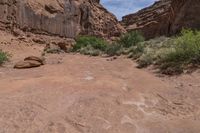 a very scenic area with rocks and shrubs on the ground and a dirt road with no traffic or trucks in it