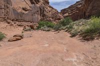 a very scenic area with rocks and shrubs on the ground and a dirt road with no traffic or trucks in it